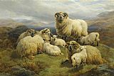 Sheep Canvas Paintings - Sheep in the Highlands